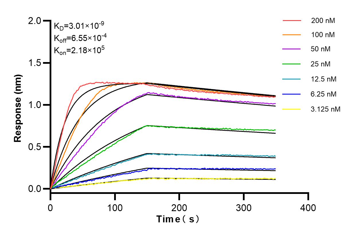 Affinity and Kinetic Characterization of 84281-5-RR