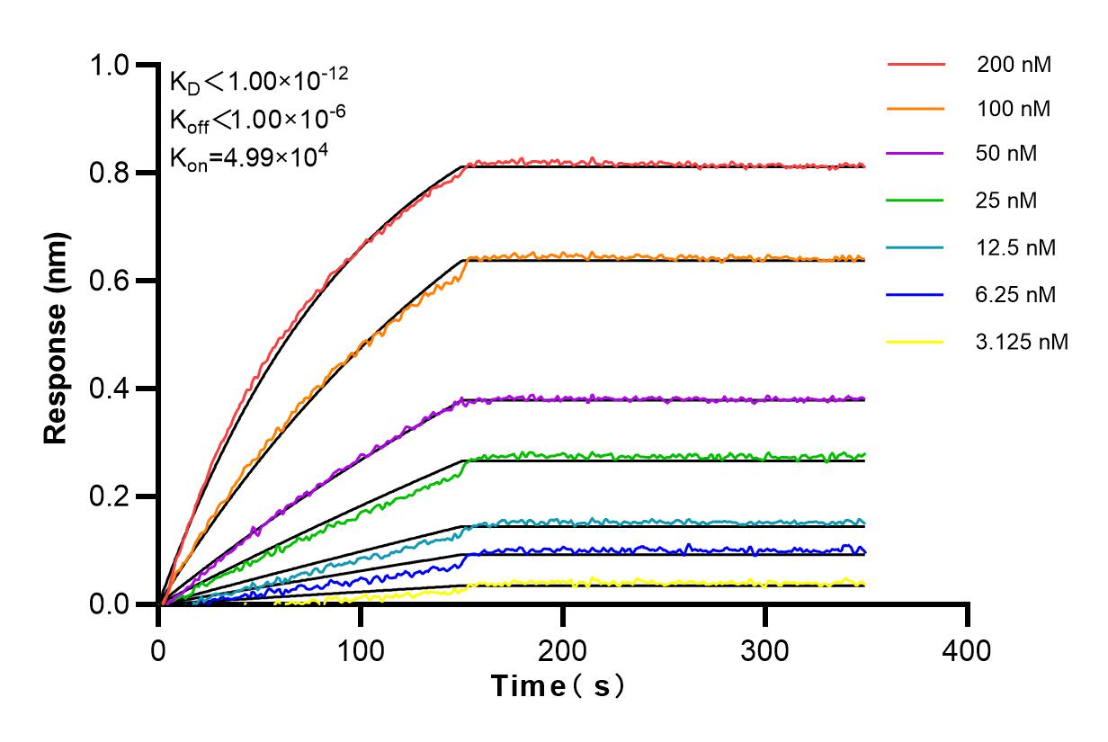 Affinity and Kinetic Characterization of 84284-5-RR