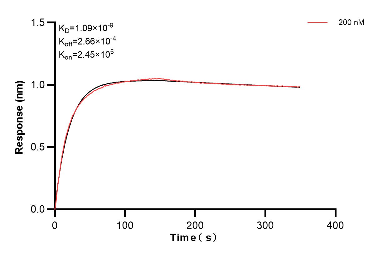 Affinity and Kinetic Characterization of 84292-2-PBS