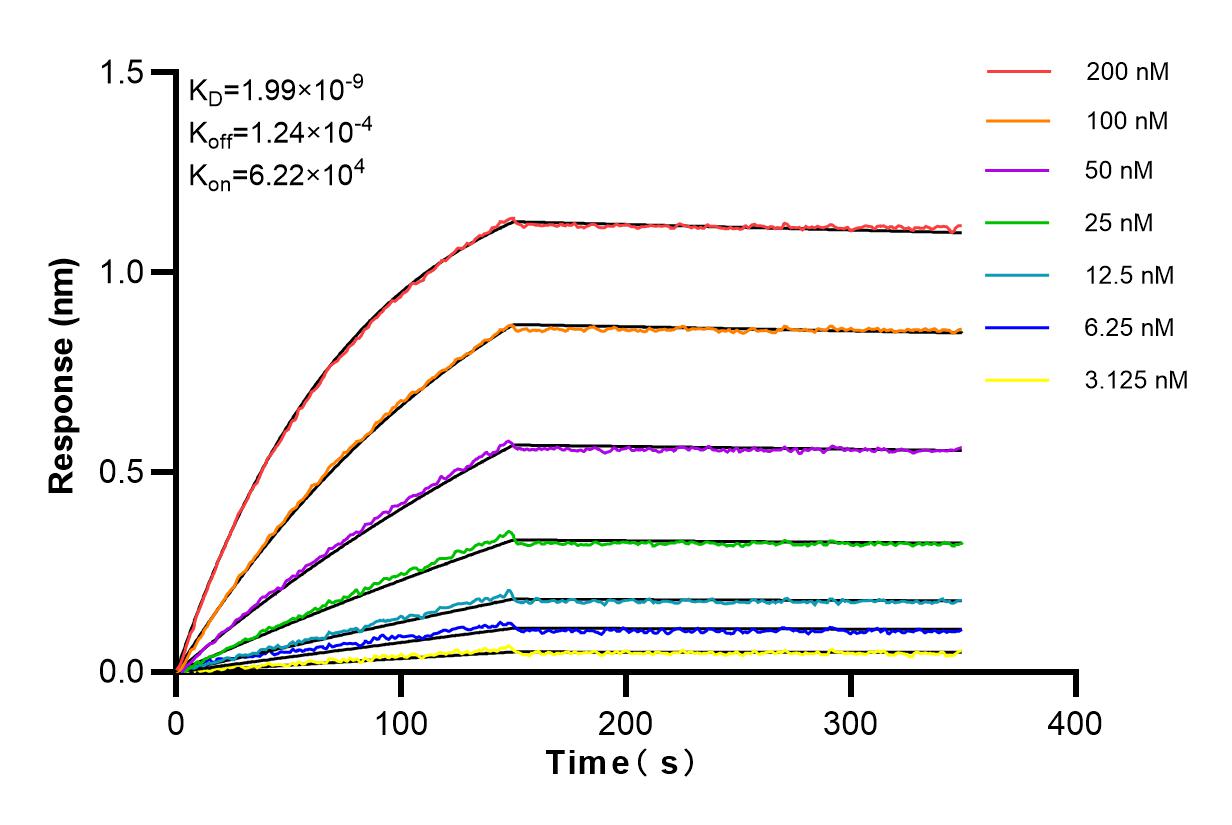 Affinity and Kinetic Characterization of 84314-2-RR