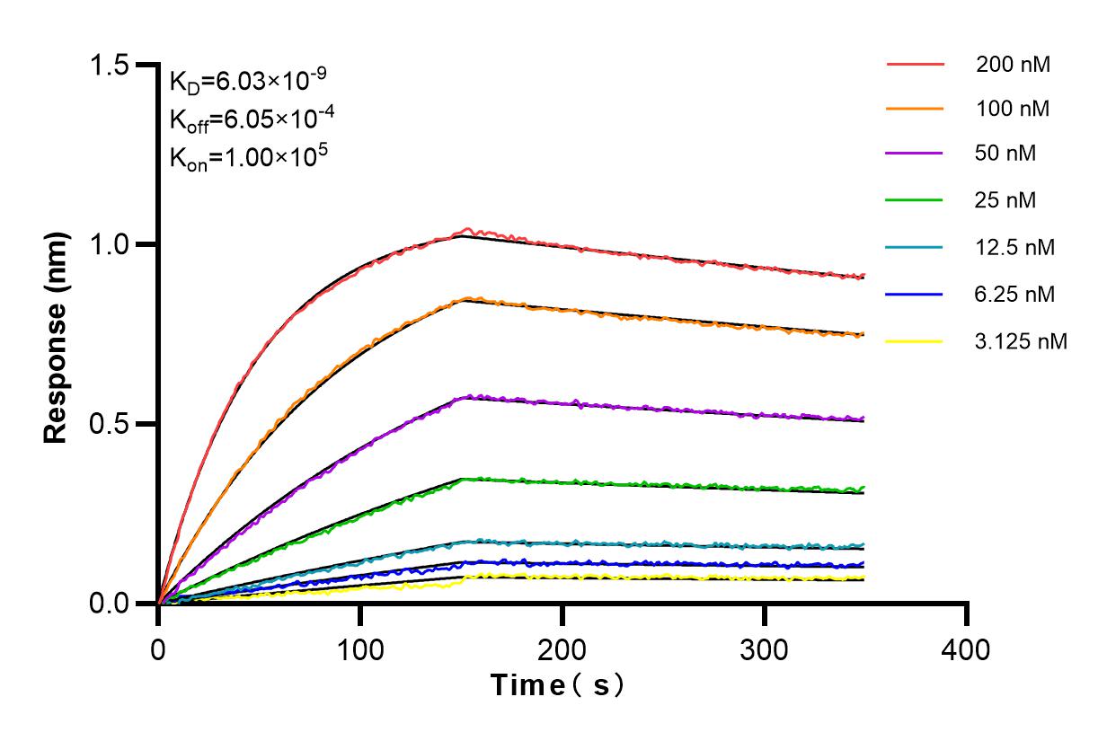 Affinity and Kinetic Characterization of 84317-7-RR