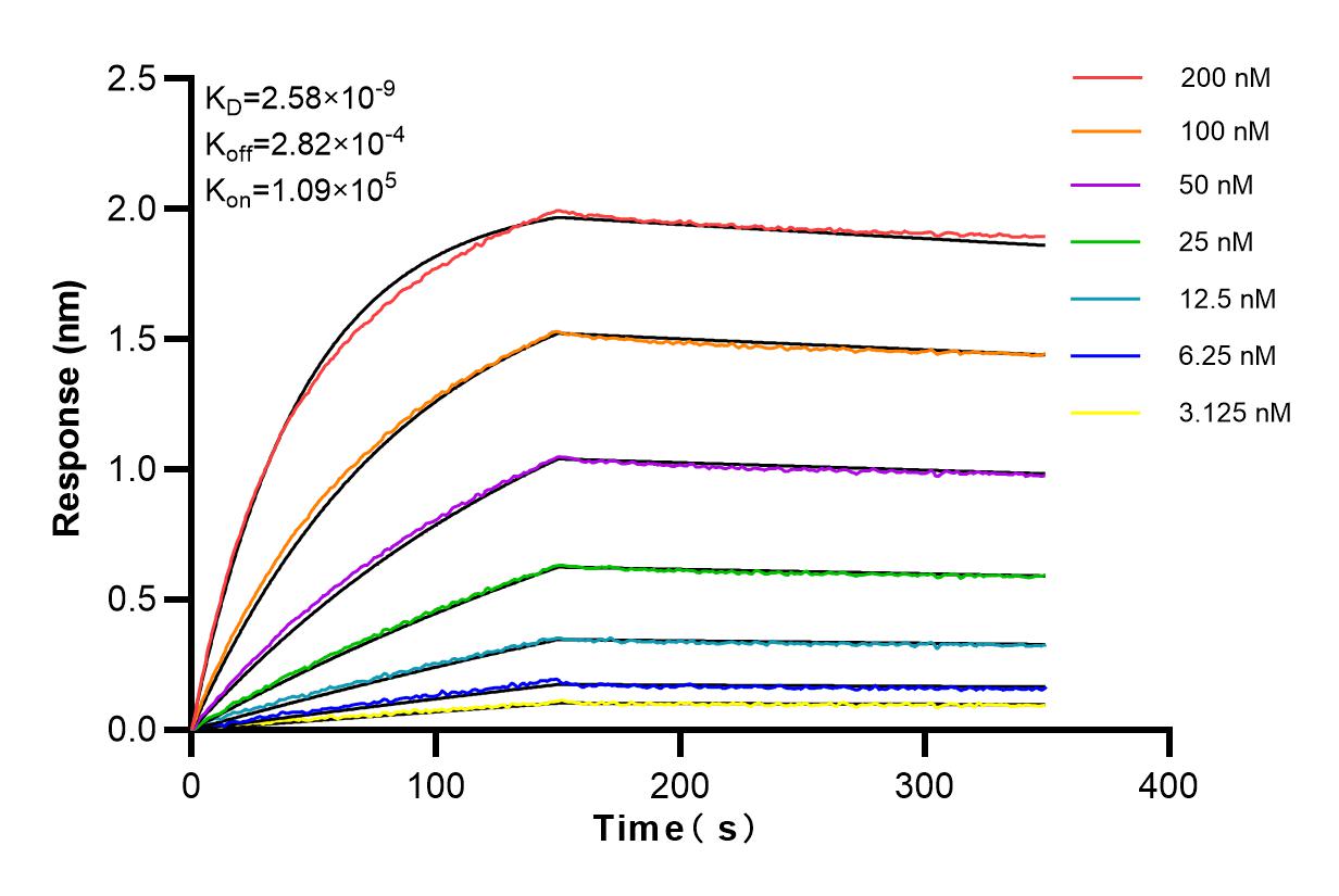 Affinity and Kinetic Characterization of 84361-2-RR