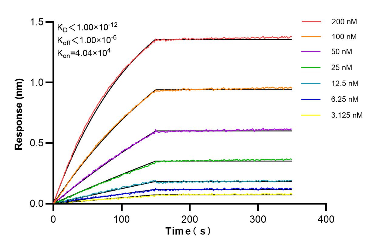 Affinity and Kinetic Characterization of 84367-6-RR