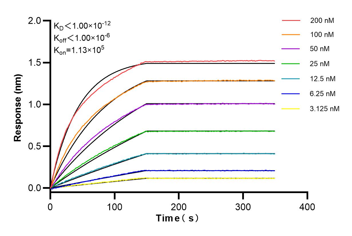 Affinity and Kinetic Characterization of 84369-5-RR