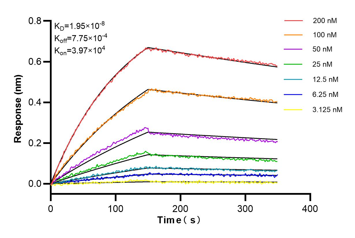 Affinity and Kinetic Characterization of 84372-4-RR