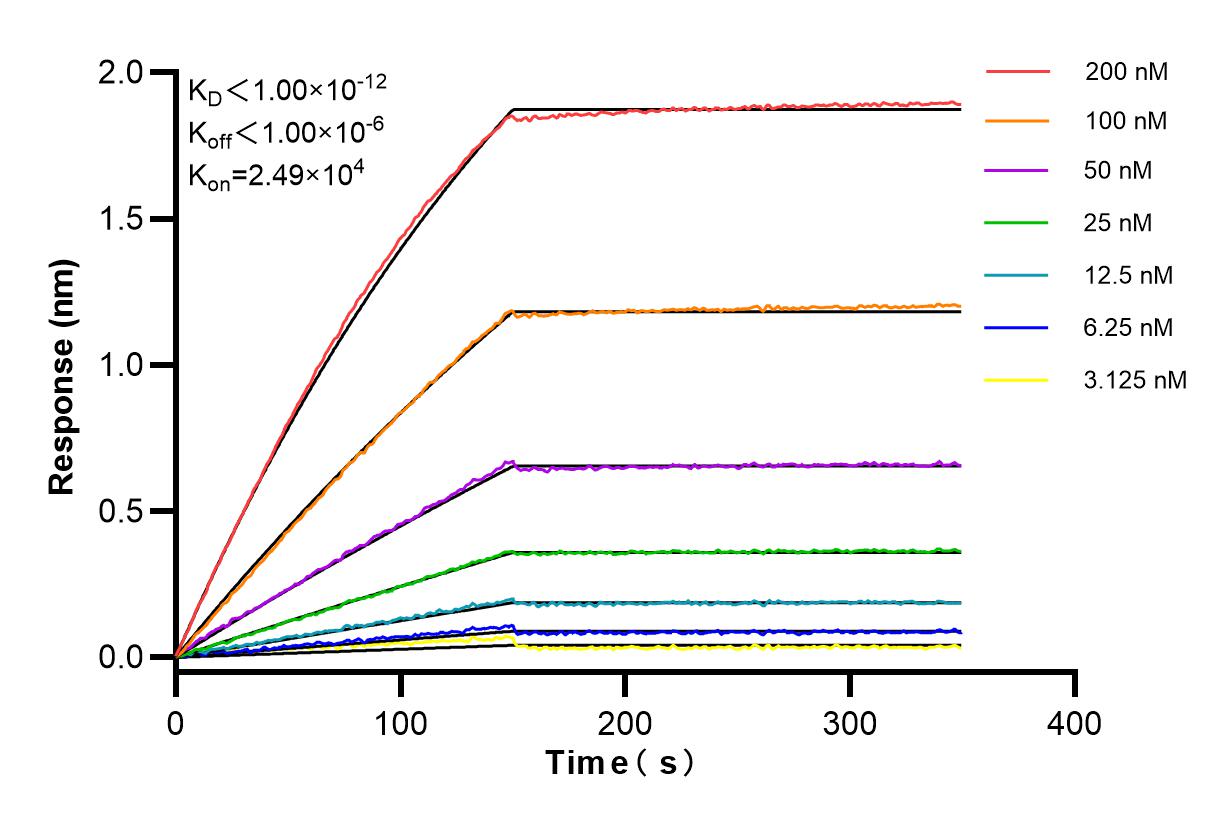 Affinity and Kinetic Characterization of 84374-4-RR