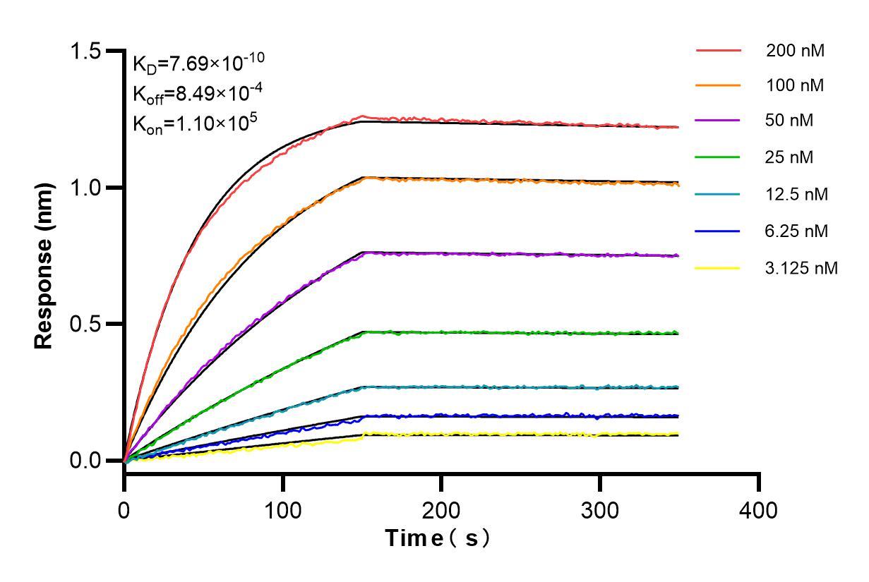 Affinity and Kinetic Characterization of 84376-4-RR