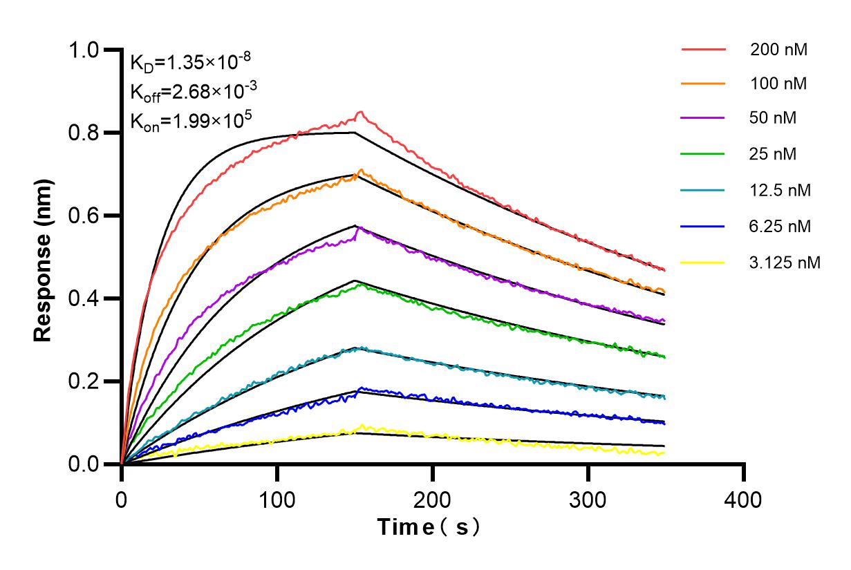 Affinity and Kinetic Characterization of 84384-5-RR