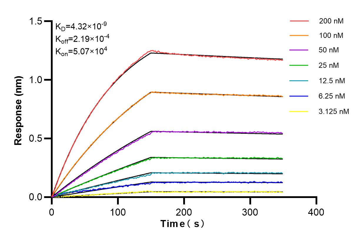 Affinity and Kinetic Characterization of 84387-6-RR