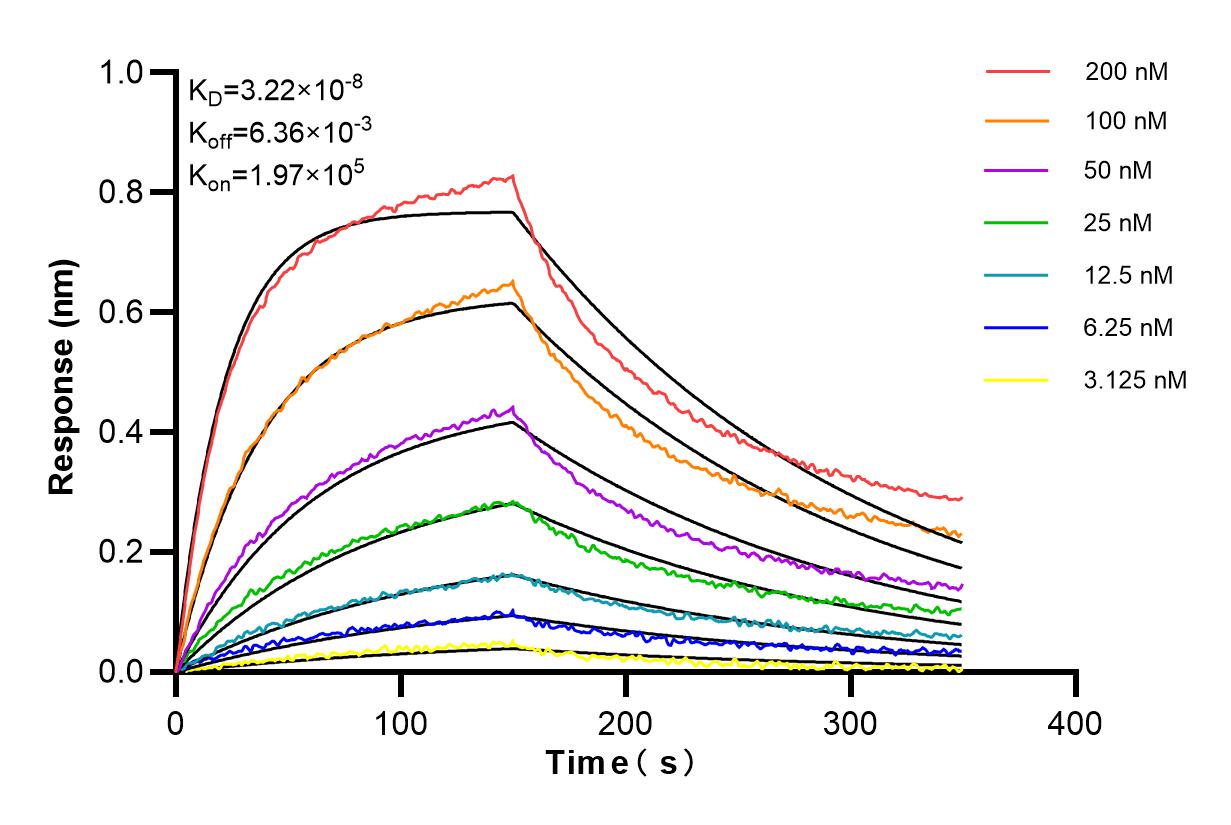 Affinity and Kinetic Characterization of 84389-2-RR