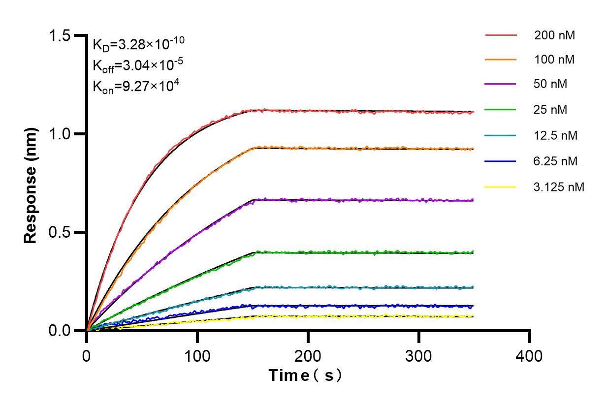 Affinity and Kinetic Characterization of 84399-3-RR