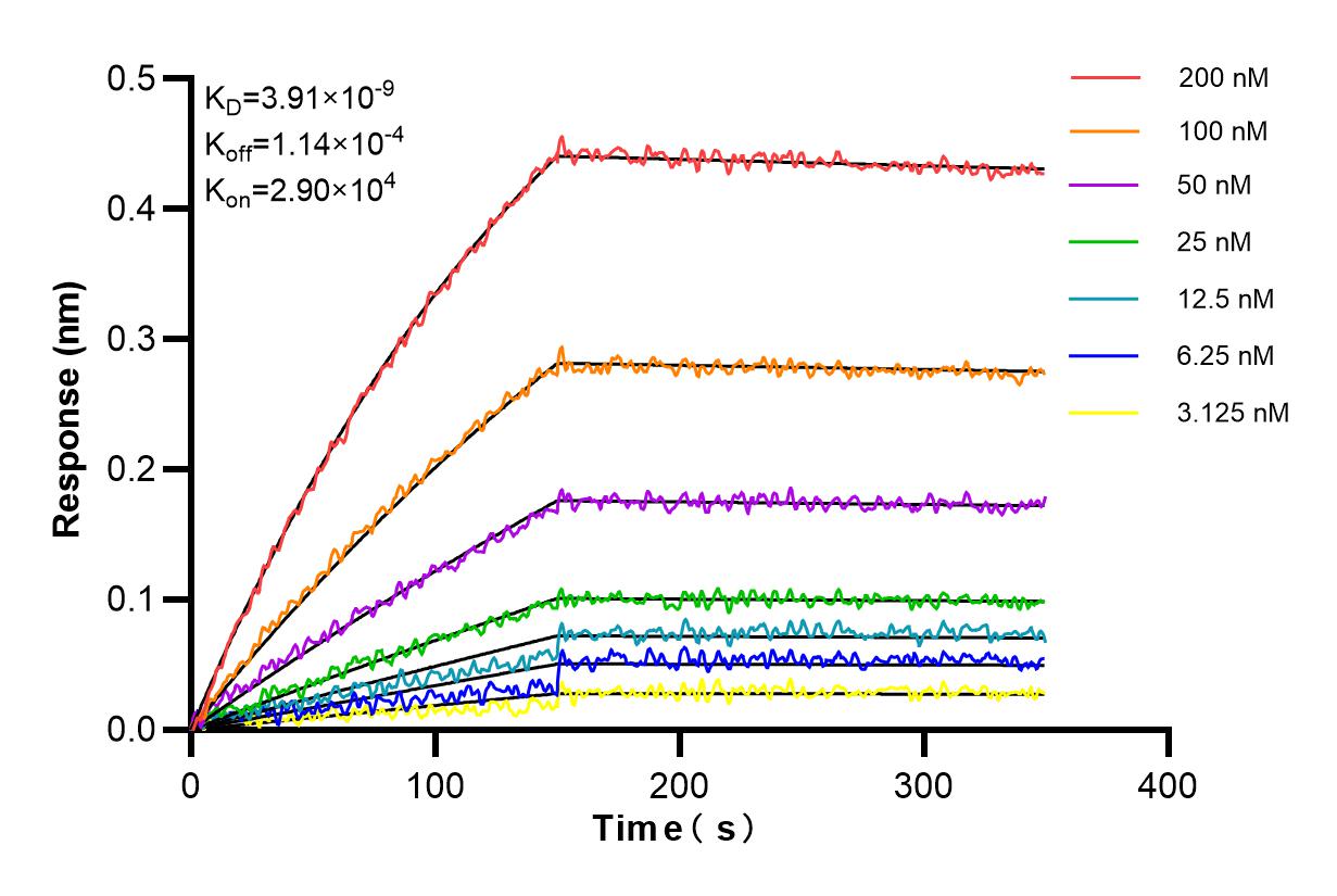 Affinity and Kinetic Characterization of 84405-6-RR