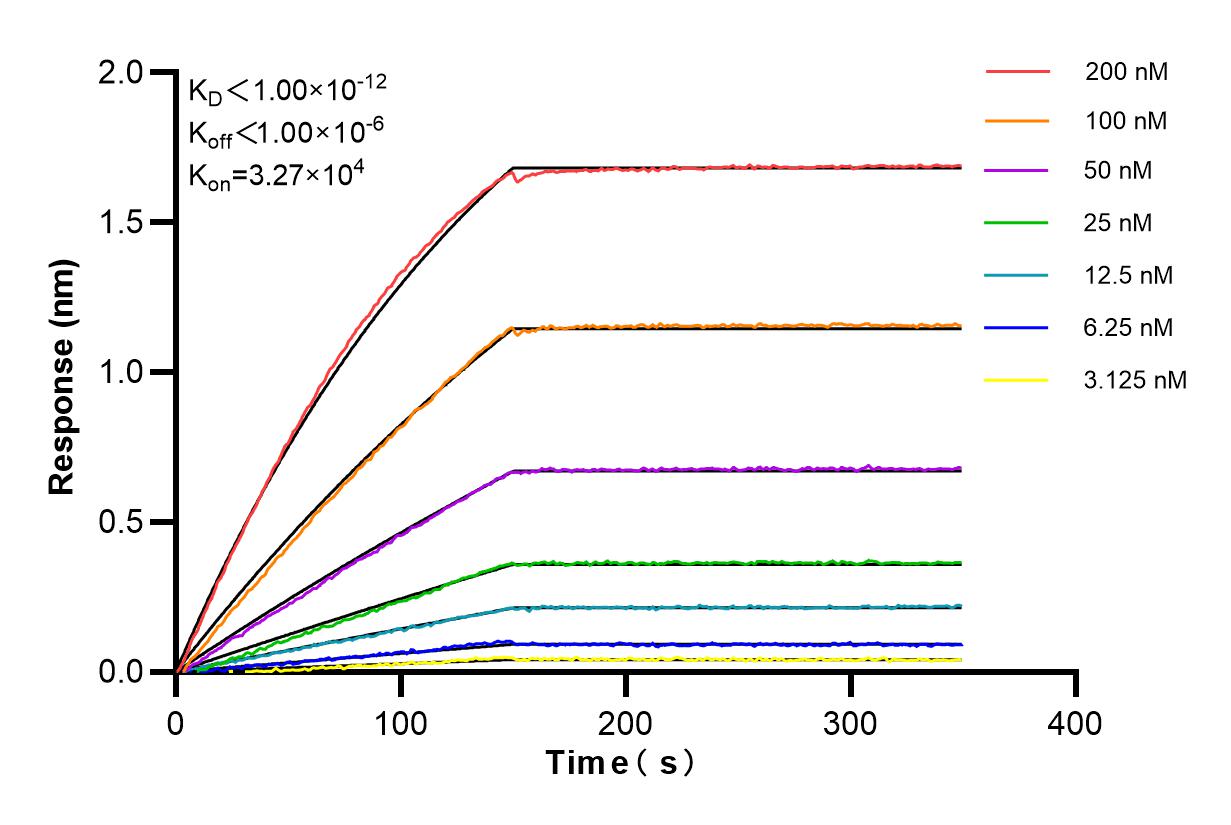 Affinity and Kinetic Characterization of 84425-5-RR