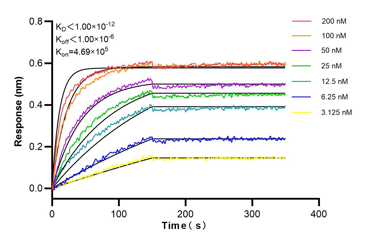 Affinity and Kinetic Characterization of 84434-4-RR