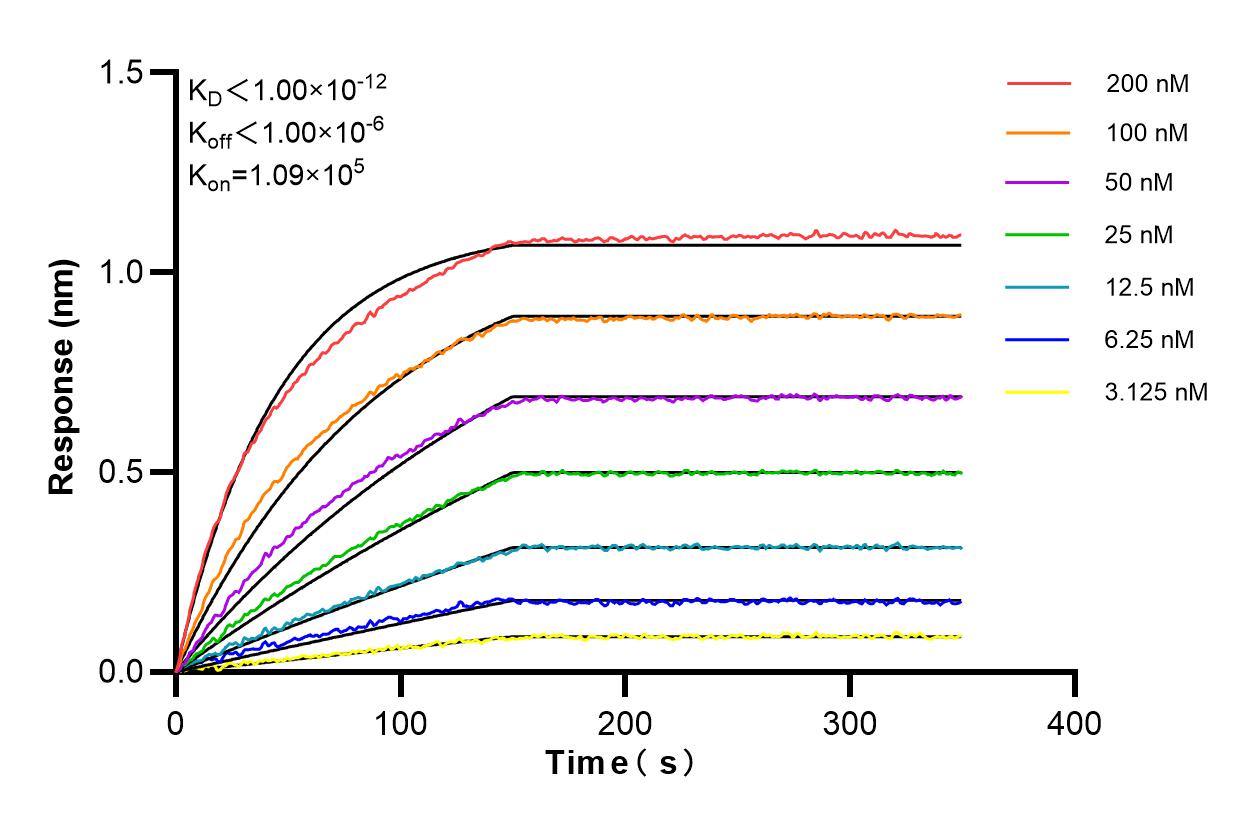 Affinity and Kinetic Characterization of 84440-5-RR