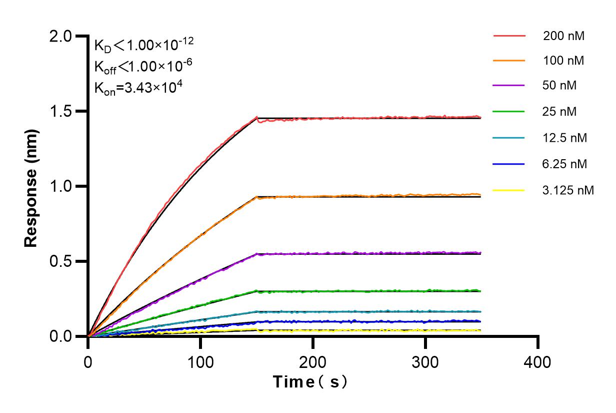 Affinity and Kinetic Characterization of 84444-1-RR