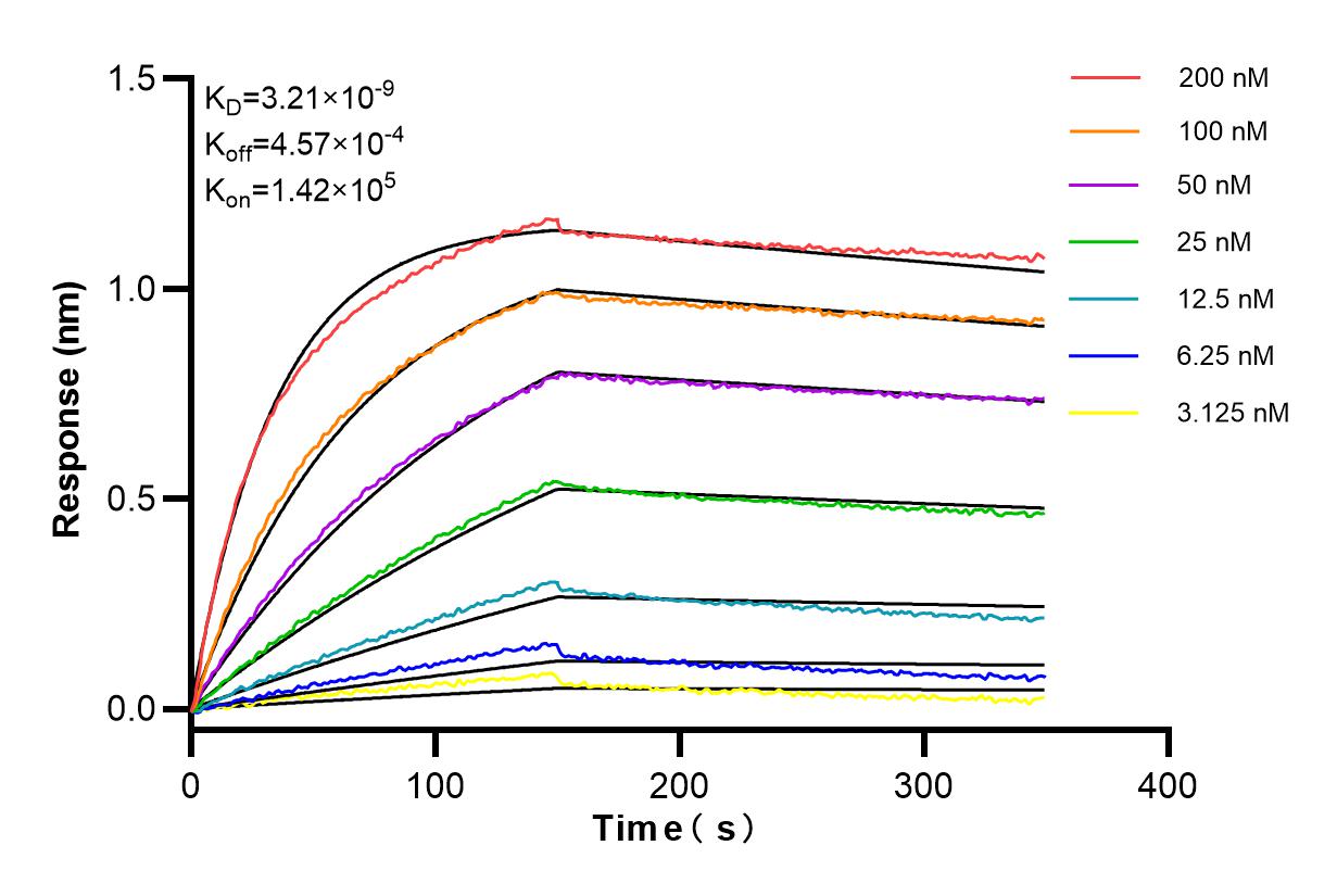 Affinity and Kinetic Characterization of 84465-4-RR