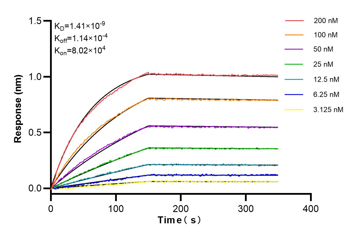 Affinity and Kinetic Characterization of 84468-5-RR