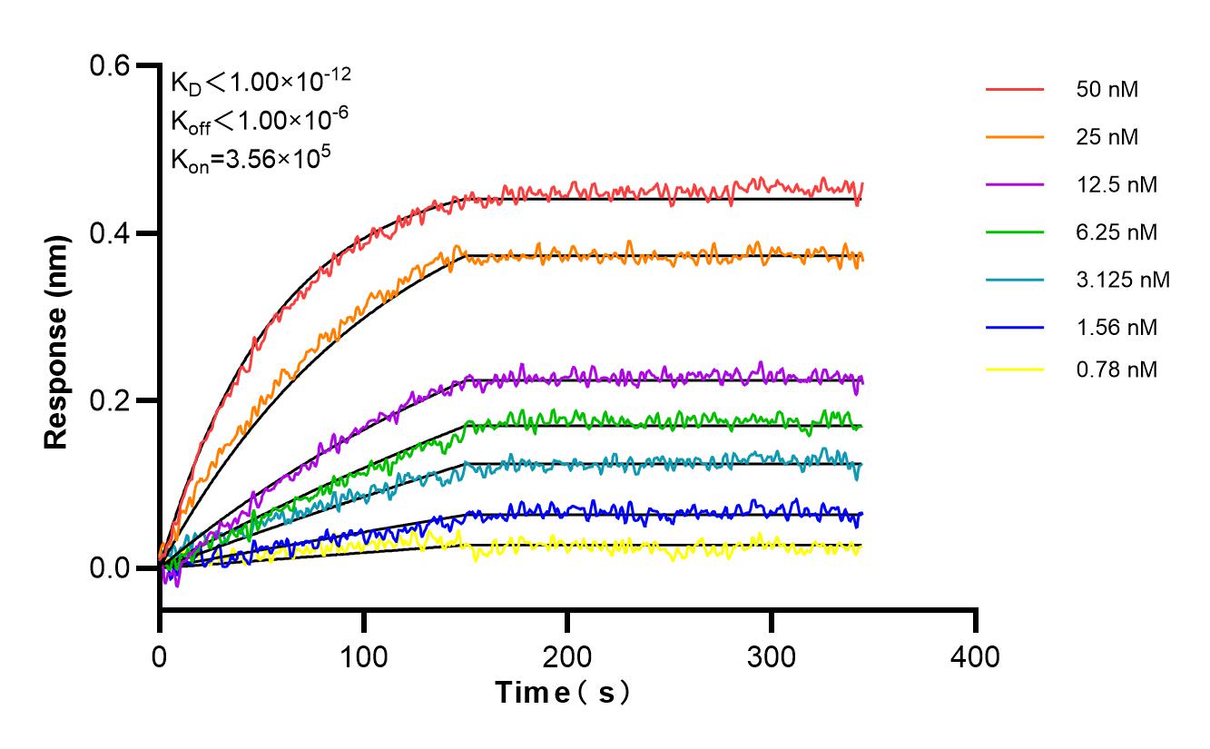 Affinity and Kinetic Characterization of 84474-7-RR