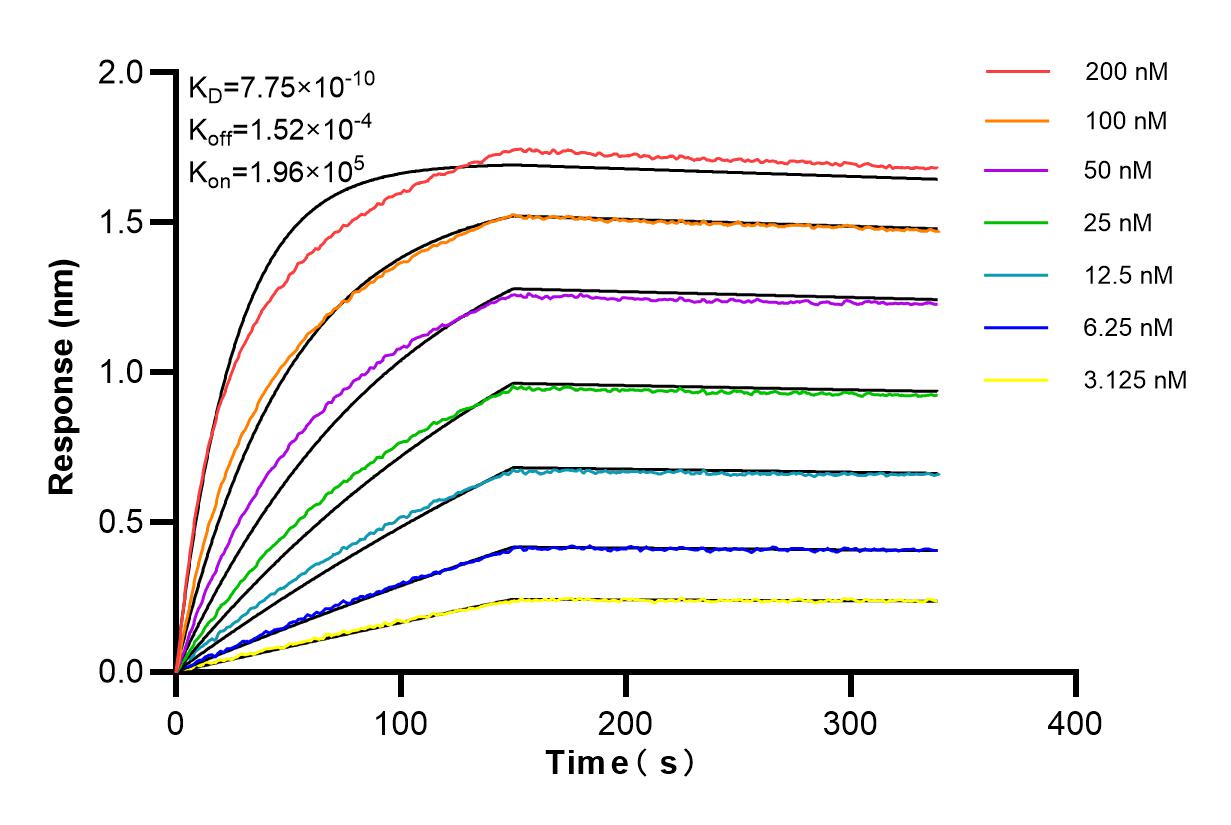 Affinity and Kinetic Characterization of 84477-6-RR