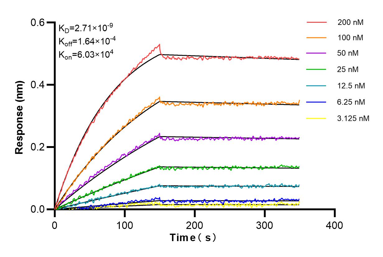 Affinity and Kinetic Characterization of 84485-4-RR