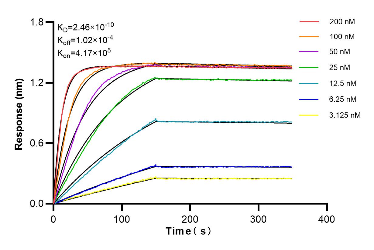 Affinity and Kinetic Characterization of 84495-4-RR