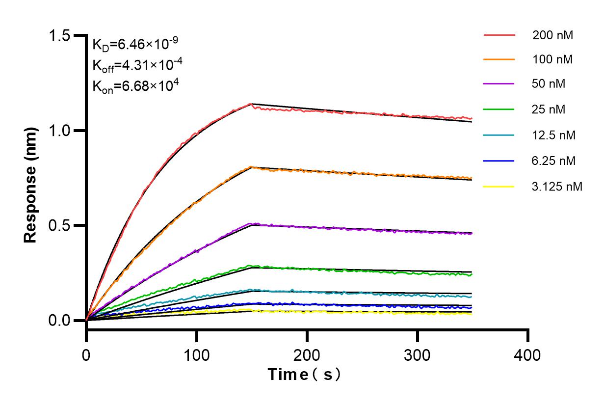 Affinity and Kinetic Characterization of 84499-1-RR