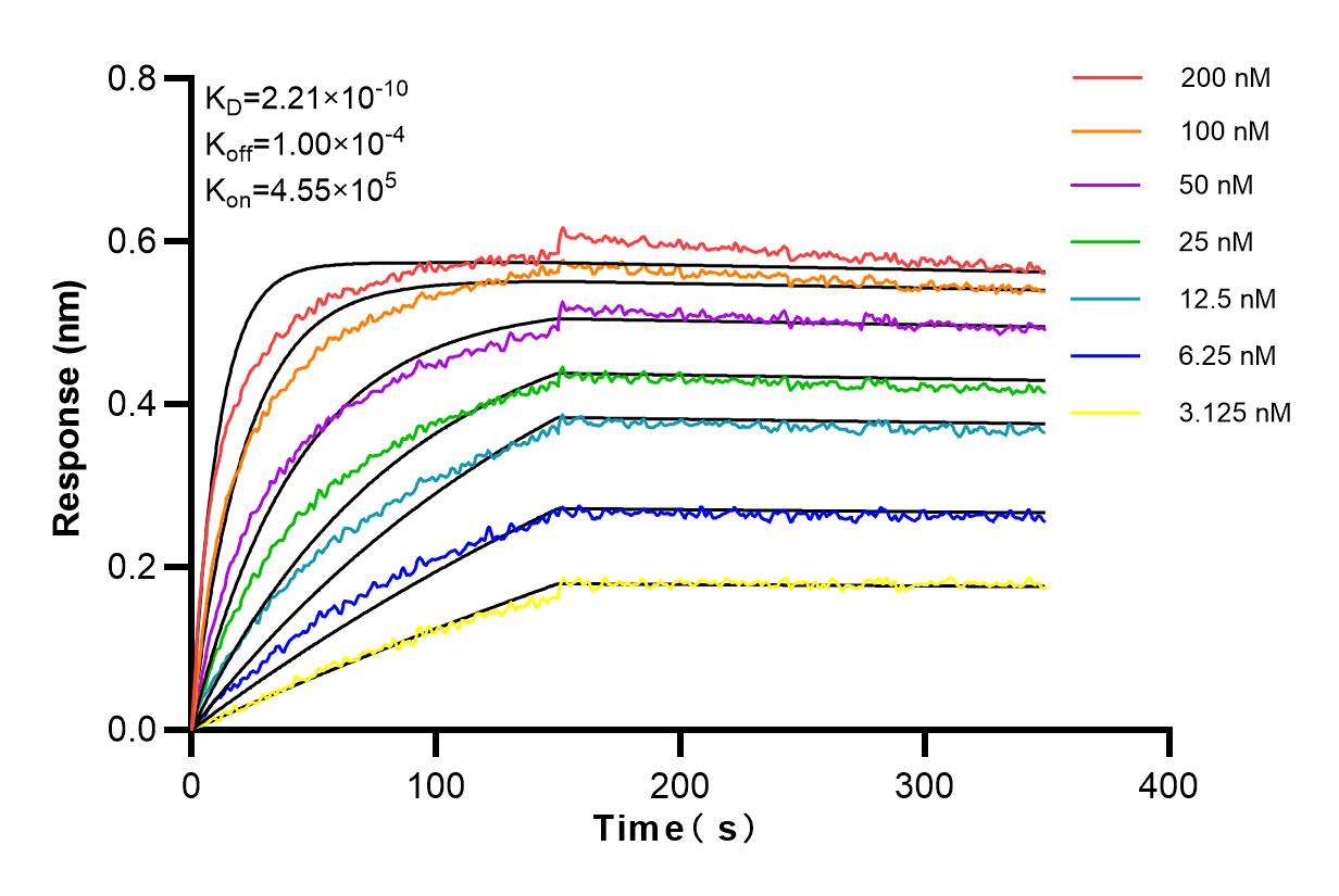 Affinity and Kinetic Characterization of 84500-1-RR