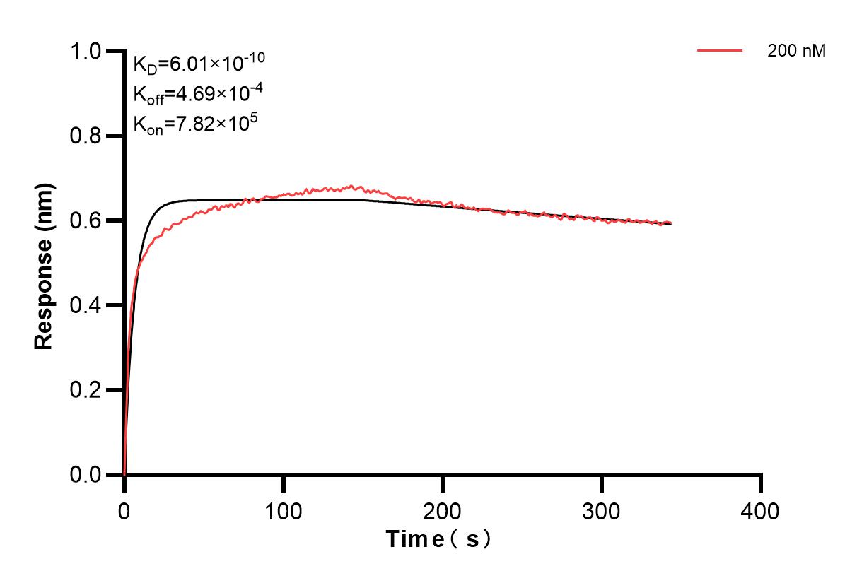 Affinity and Kinetic Characterization of 84505-2-PBS