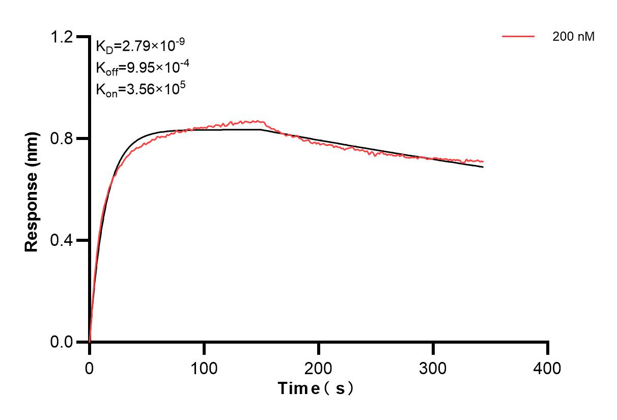 Affinity and Kinetic Characterization of 84505-3-PBS