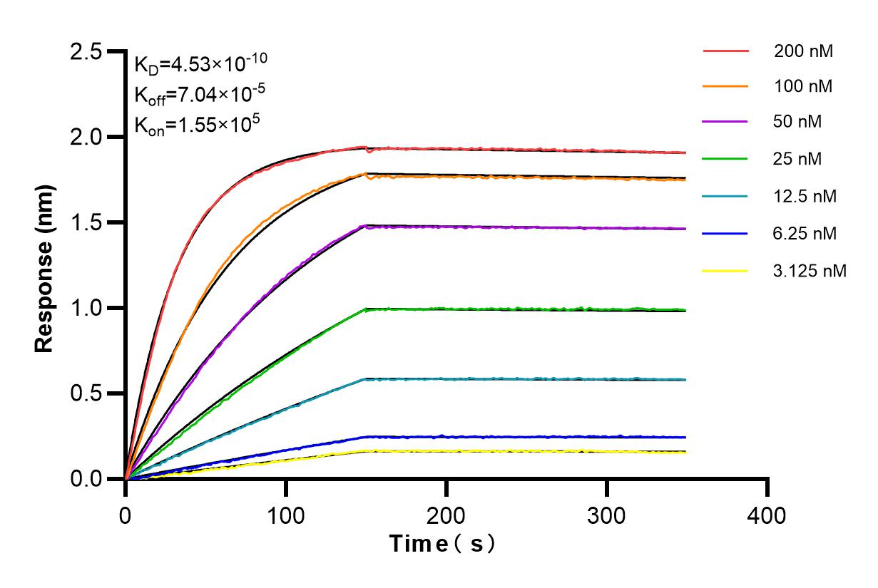 Affinity and Kinetic Characterization of 84511-2-RR