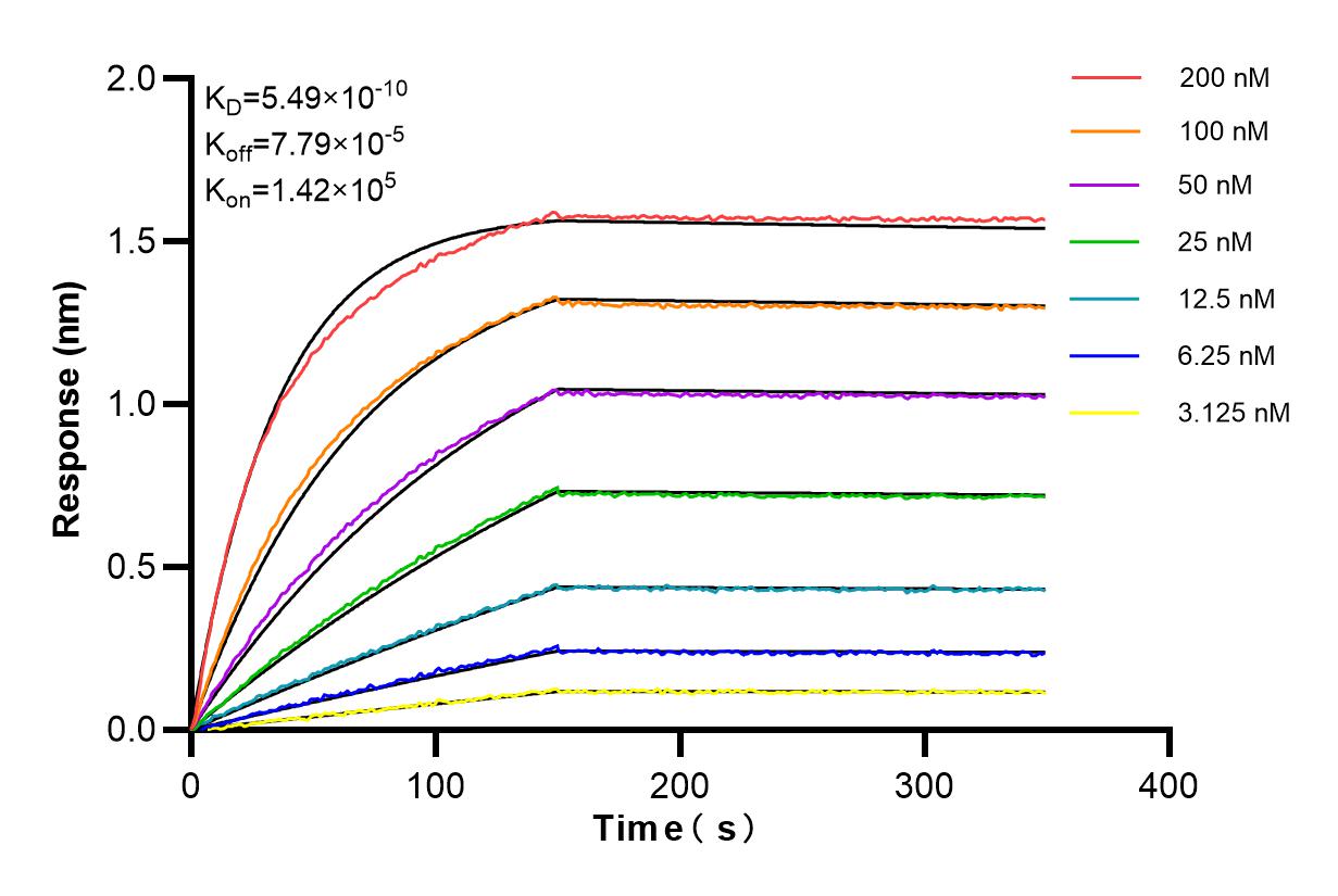 Affinity and Kinetic Characterization of 84514-4-RR