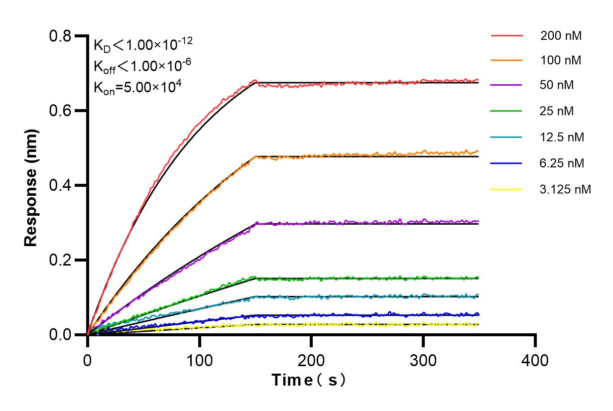 Affinity and Kinetic Characterization of 84527-4-RR