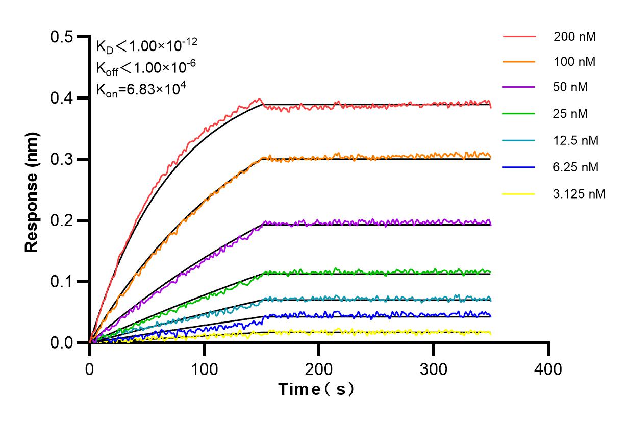 Affinity and Kinetic Characterization of 84527-5-RR