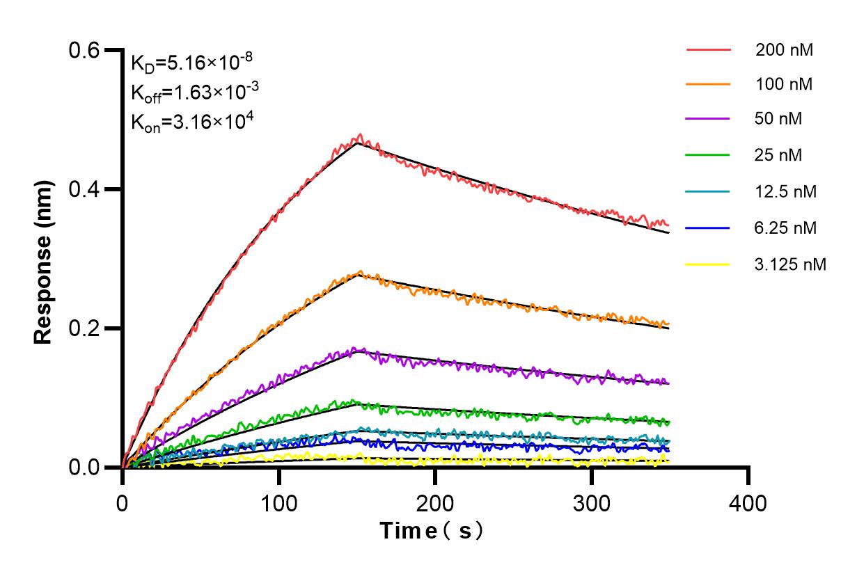 Affinity and Kinetic Characterization of 84529-4-RR