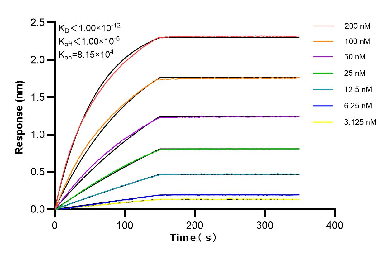 Affinity and Kinetic Characterization of 84531-5-RR