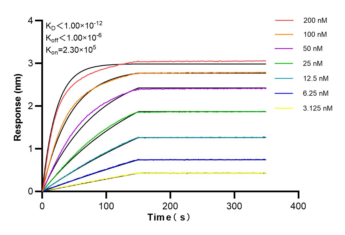 Affinity and Kinetic Characterization of 84540-1-RR