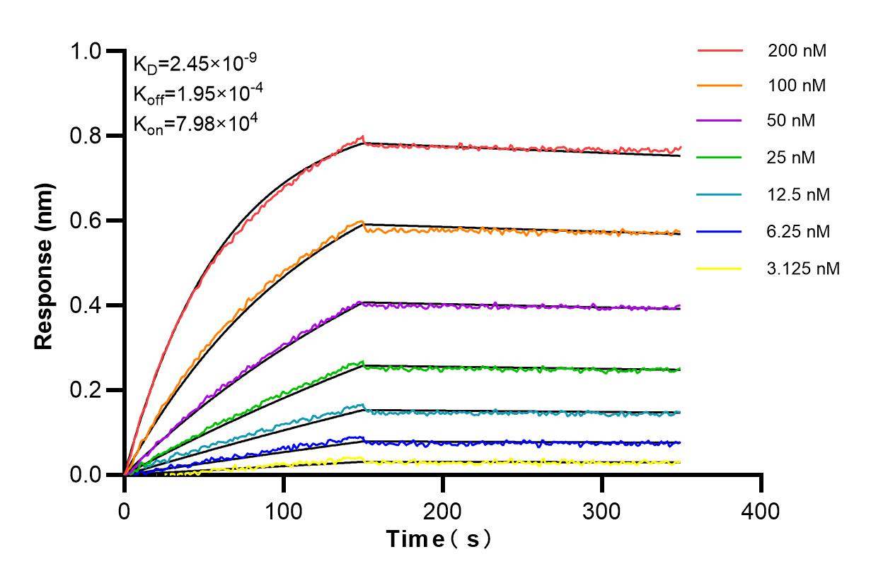 Affinity and Kinetic Characterization of 84542-6-RR