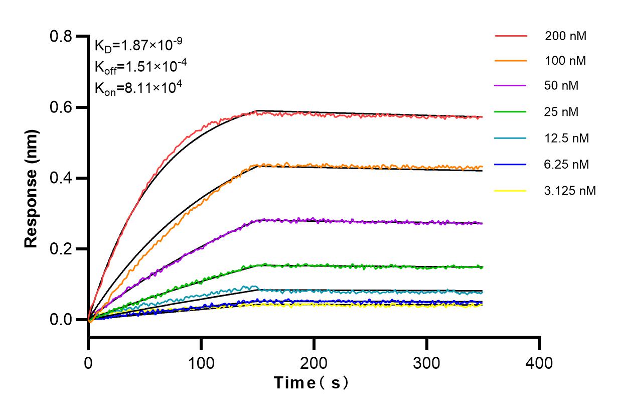 Affinity and Kinetic Characterization of 84547-1-RR