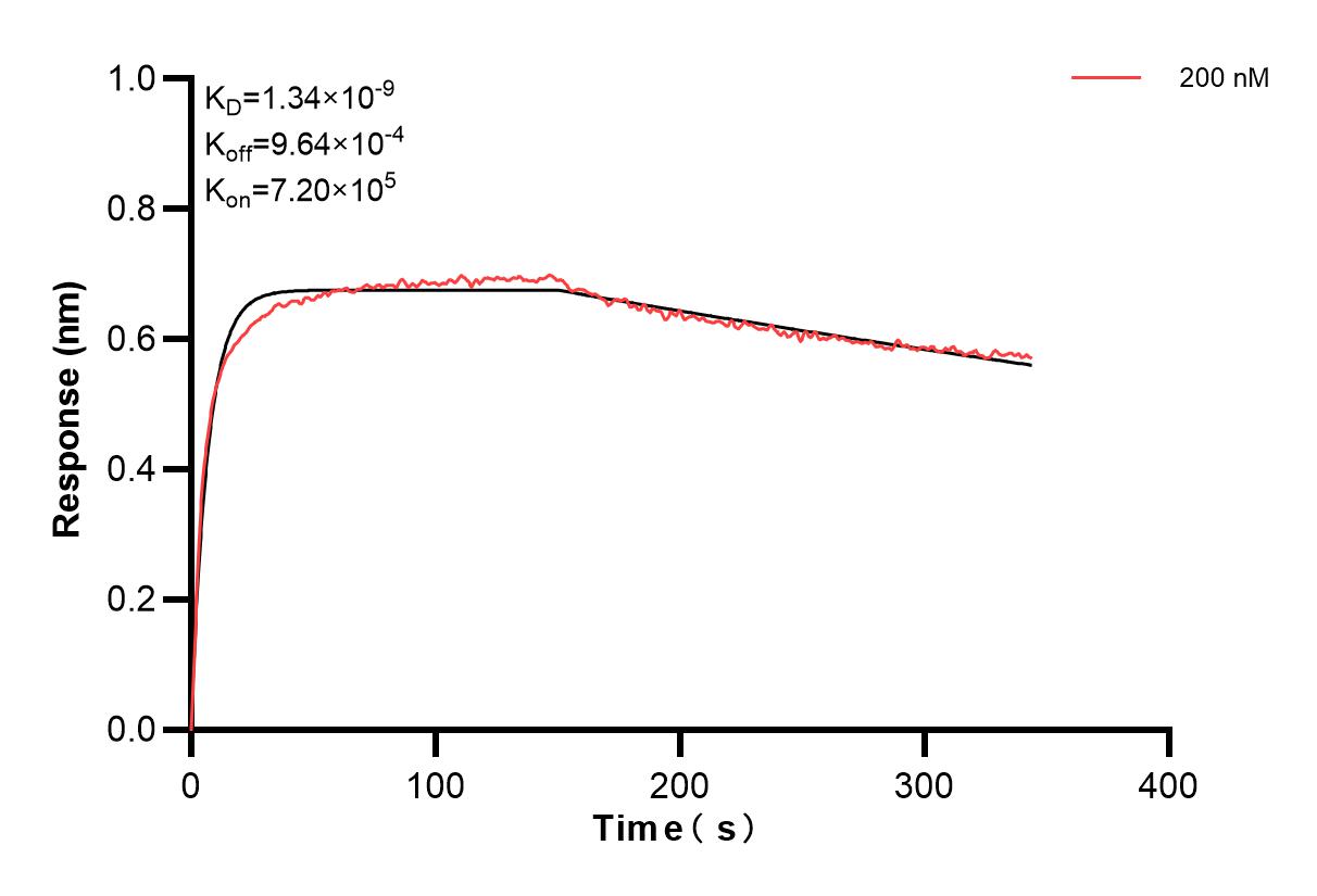 Affinity and Kinetic Characterization of 84564-2-PBS