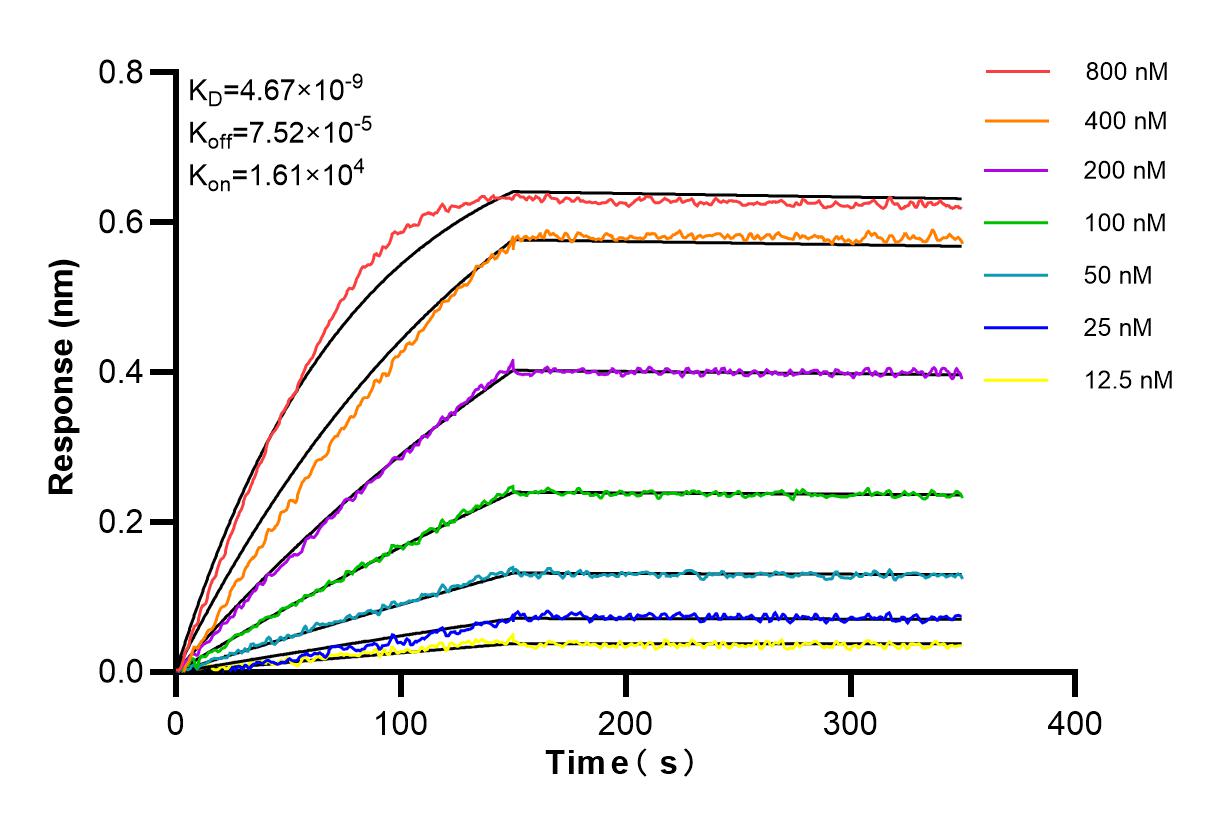 Affinity and Kinetic Characterization of 84577-4-RR