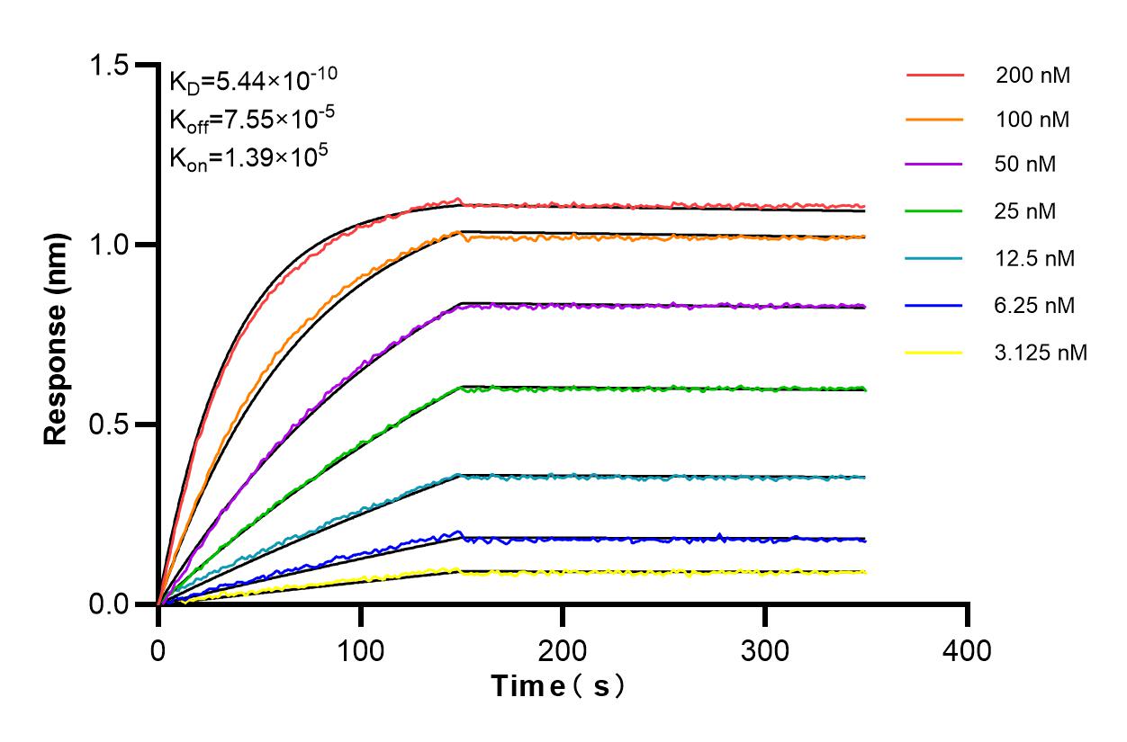 Affinity and Kinetic Characterization of 84581-3-RR