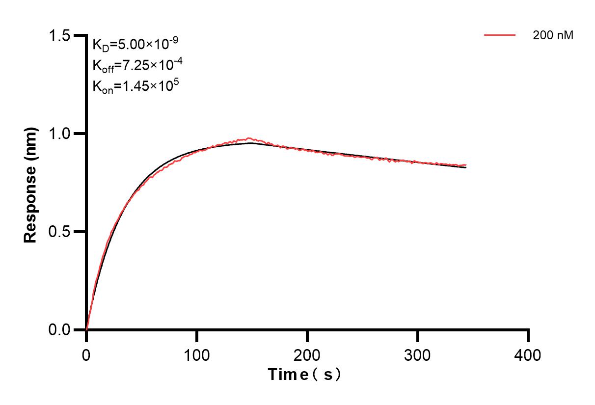 Affinity and Kinetic Characterization of 84585-2-PBS