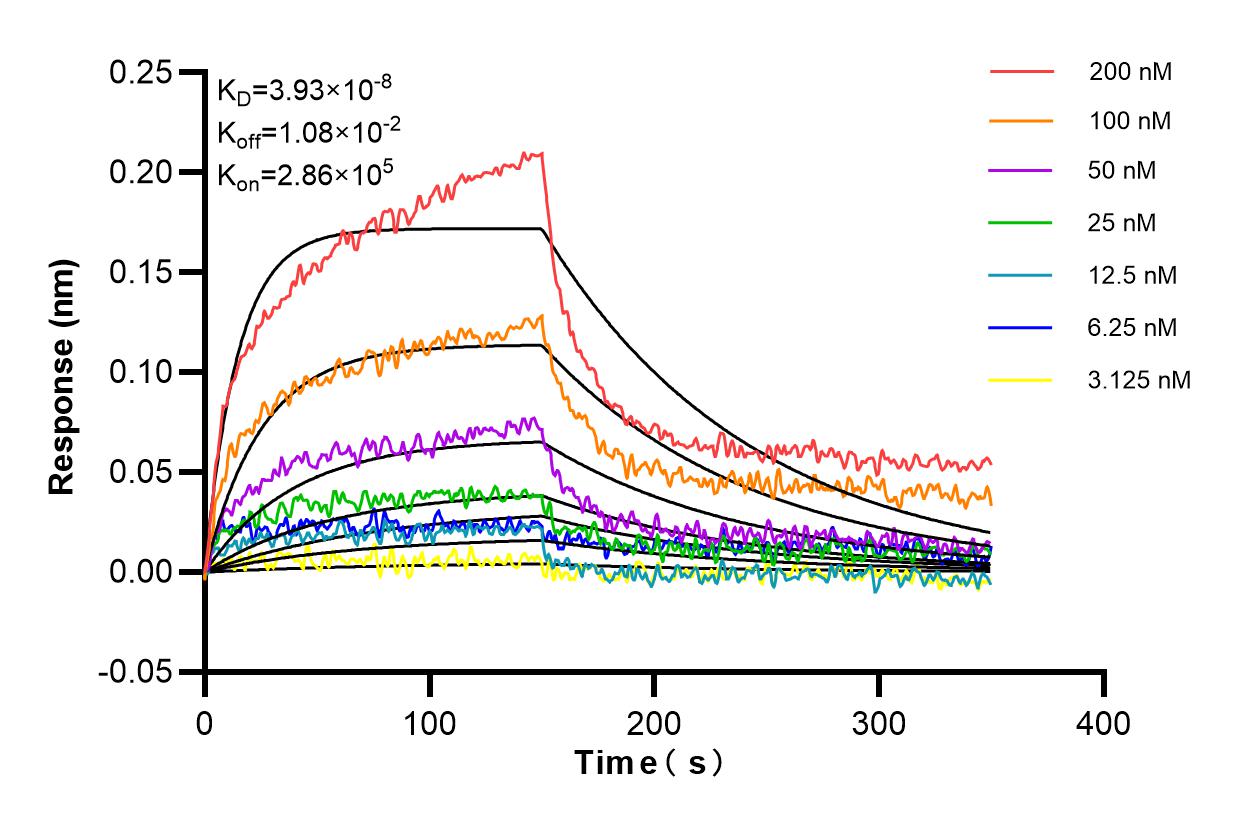 Affinity and Kinetic Characterization of 84630-1-RR