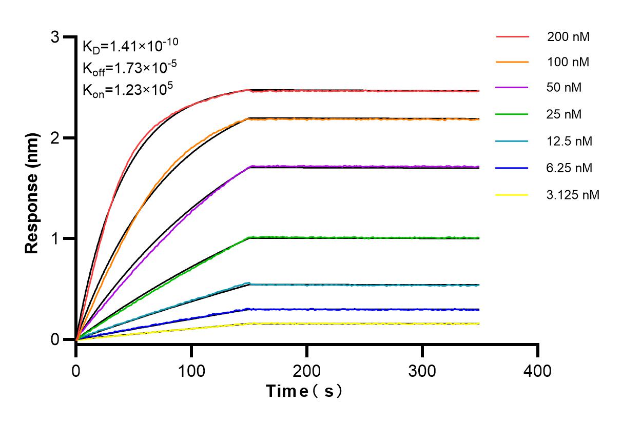 Affinity and Kinetic Characterization of 84632-1-RR