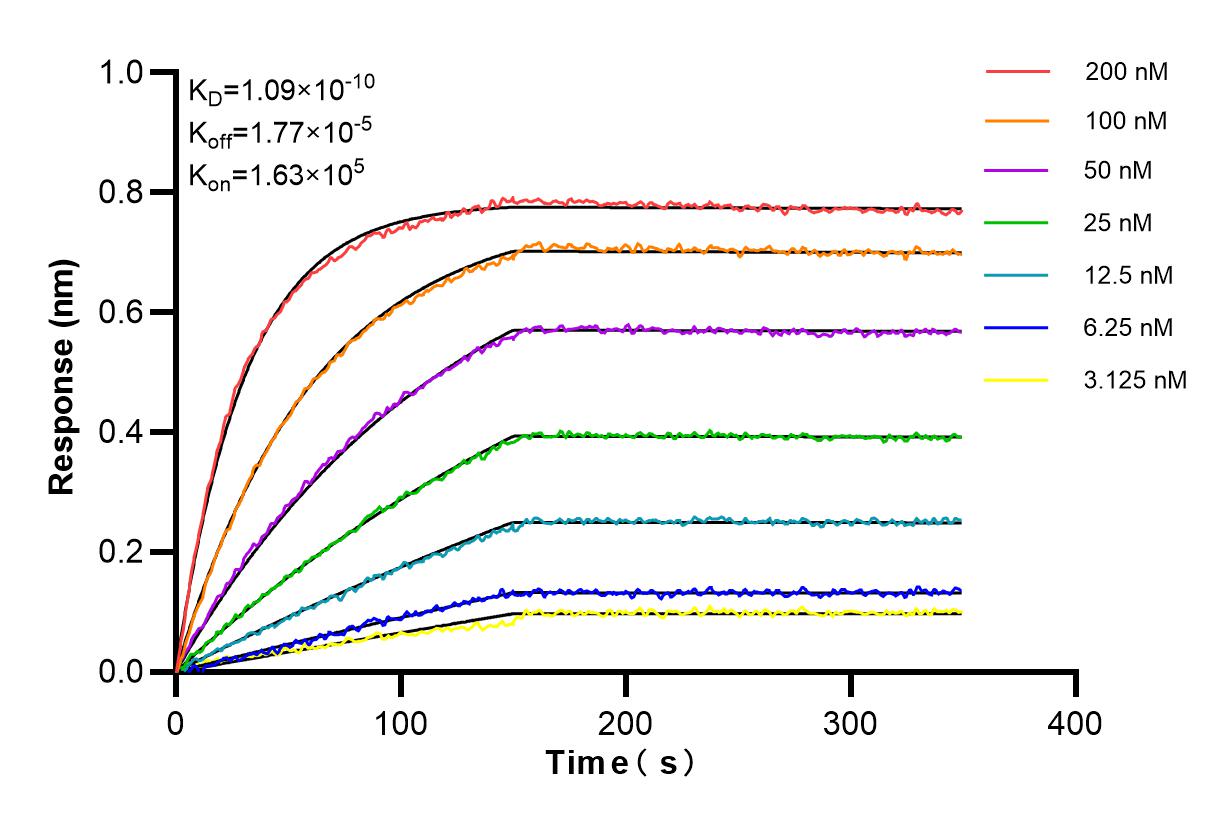 Affinity and Kinetic Characterization of 84650-4-RR