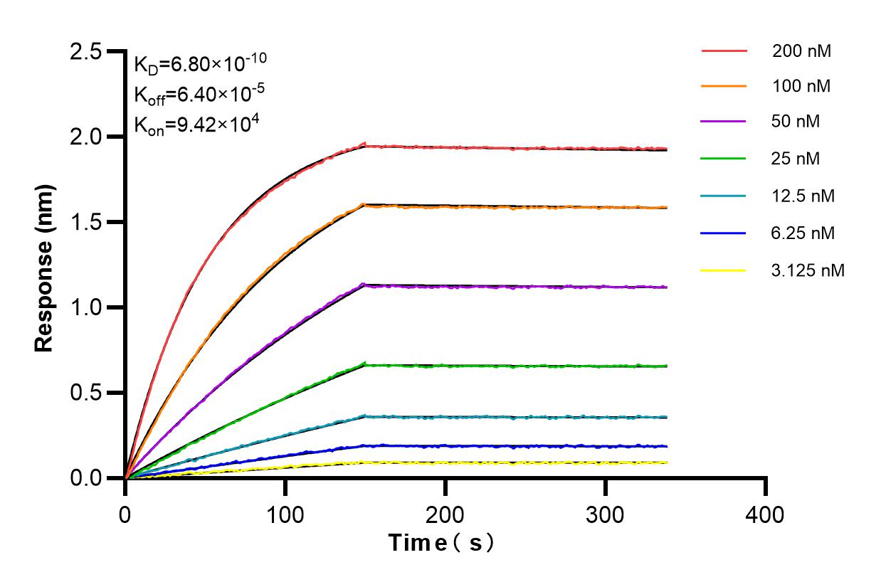 Affinity and Kinetic Characterization of 84657-4-RR