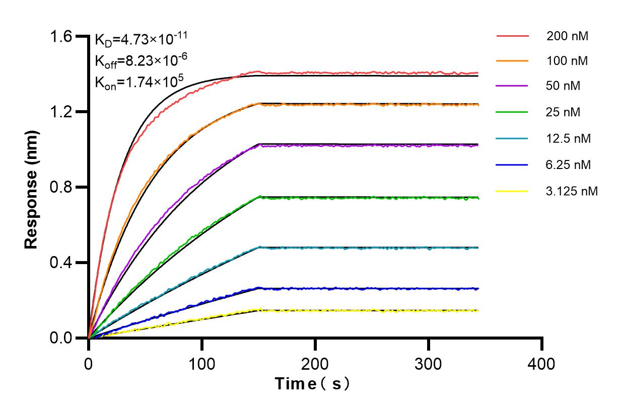 Affinity and Kinetic Characterization of 84661-4-RR