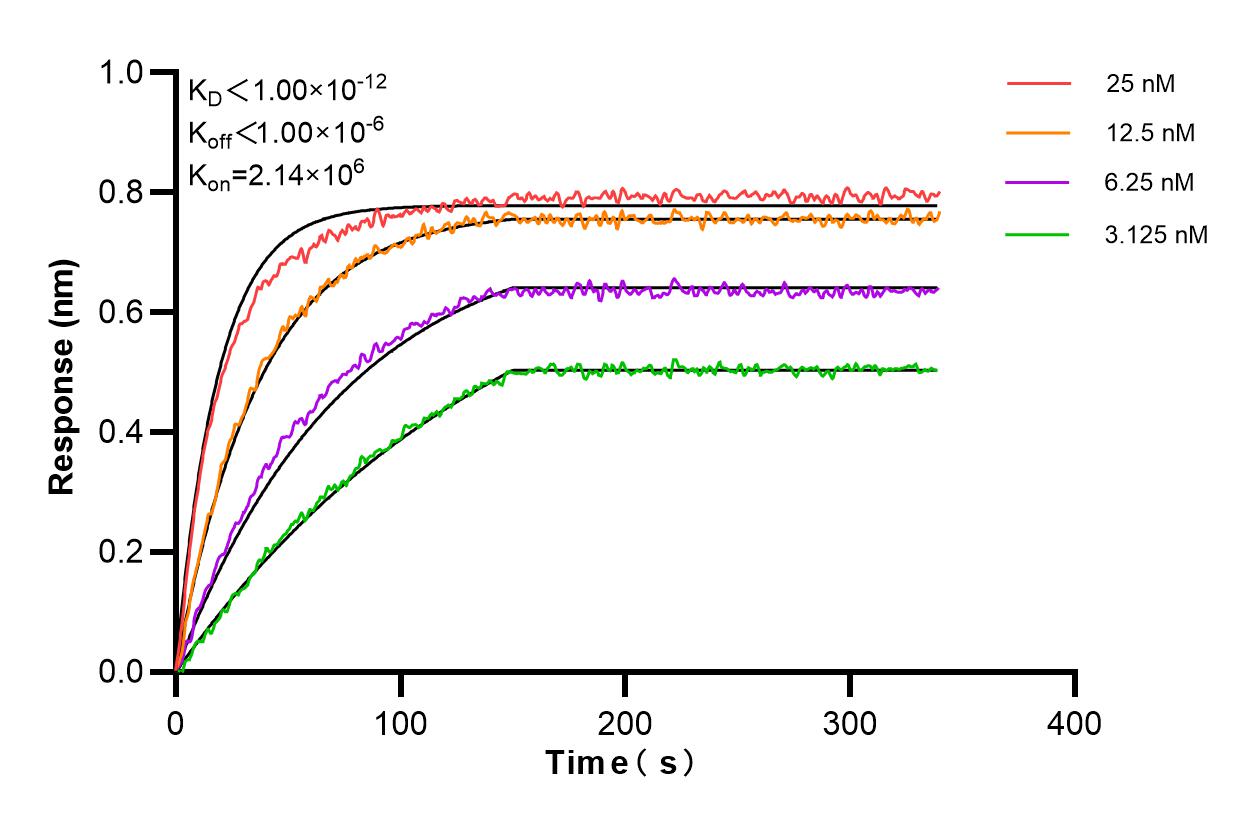 Affinity and Kinetic Characterization of 84674-4-RR