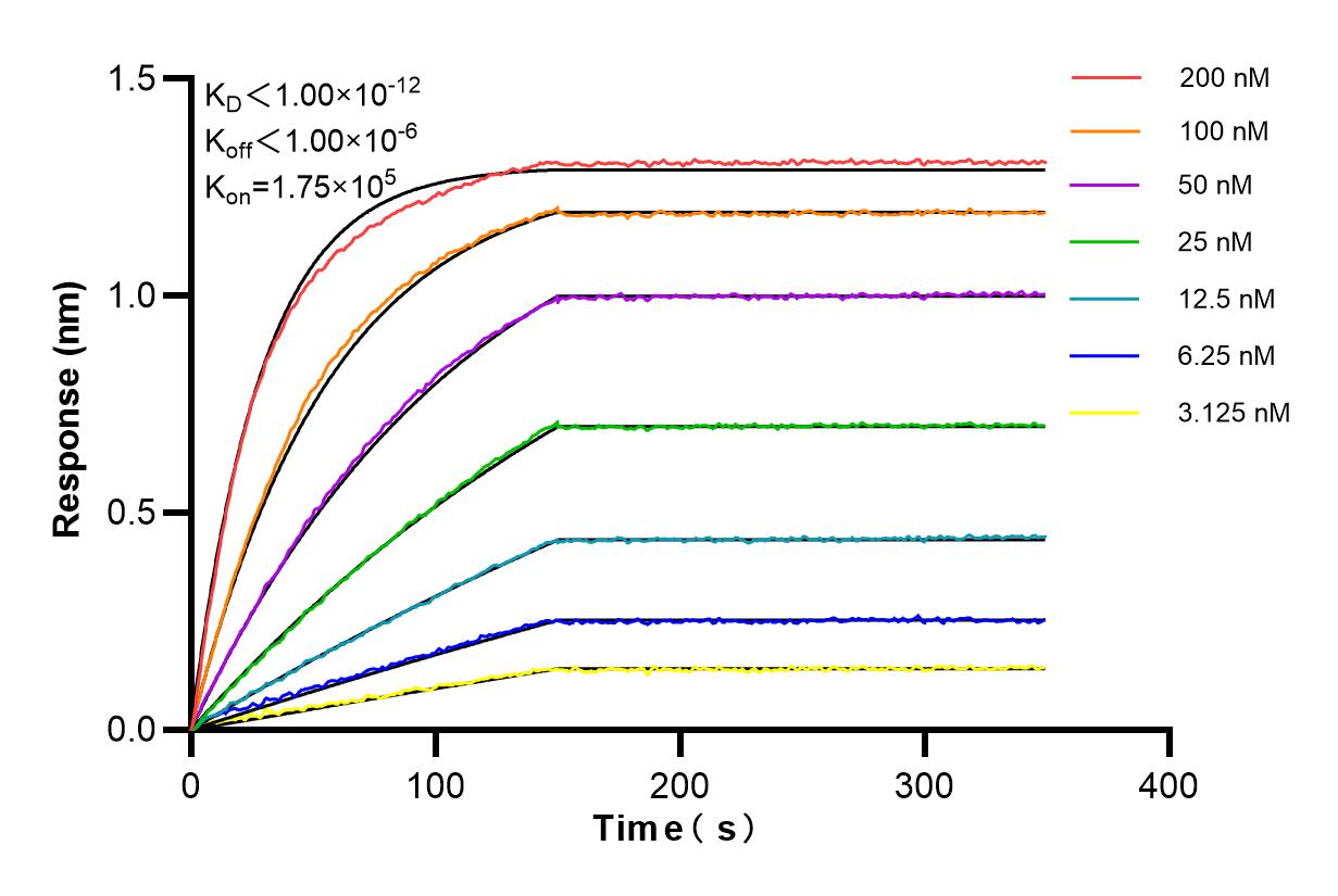 Affinity and Kinetic Characterization of 84676-3-RR